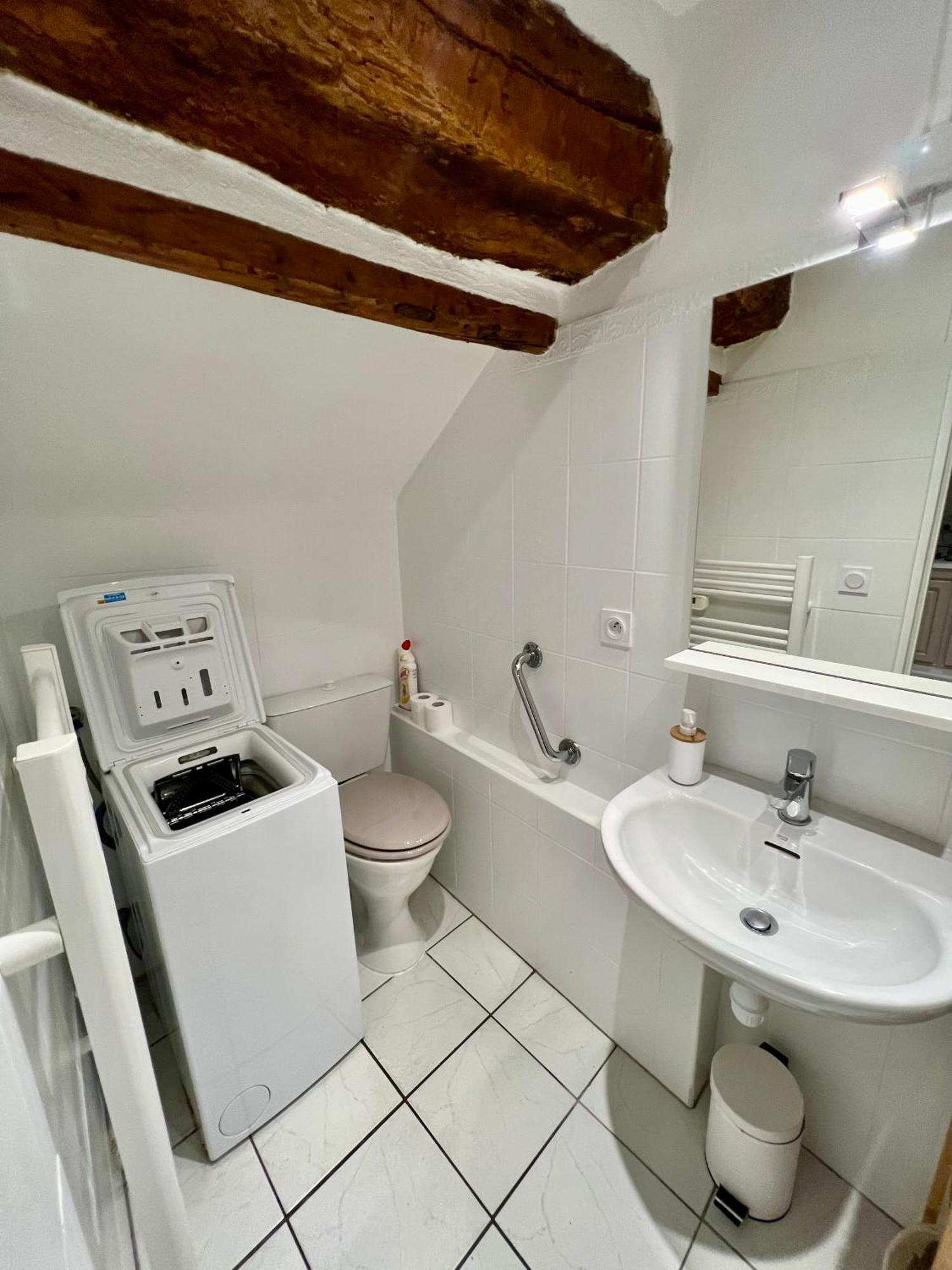Superbe Neuf Et Cosy En Centre Appartement *